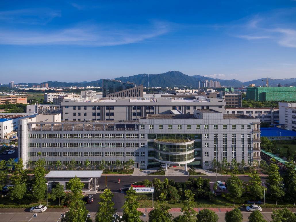 奇楠沉香樹1年期